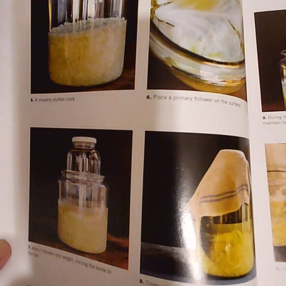 Fermented Vegetably - Picture 4 of 10